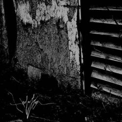 Isolation (GER) : Isolation